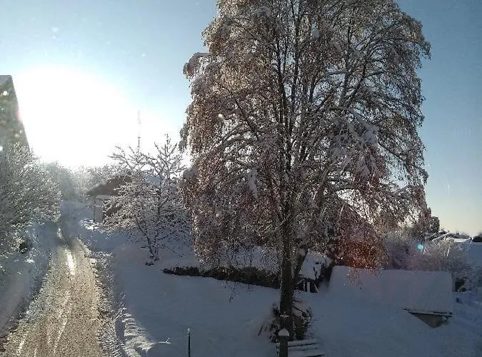 Pietzavka *